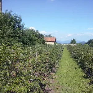 Alloggio per agriturismo Agriturismo Cascina Marinona, Induno Olona